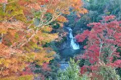 養老渓谷 粟又の滝