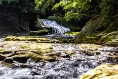 養老渓谷の風景