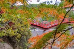 養老渓谷　観音橋