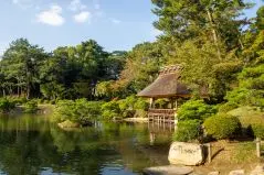 池のある庭園
