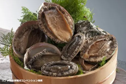 abalone