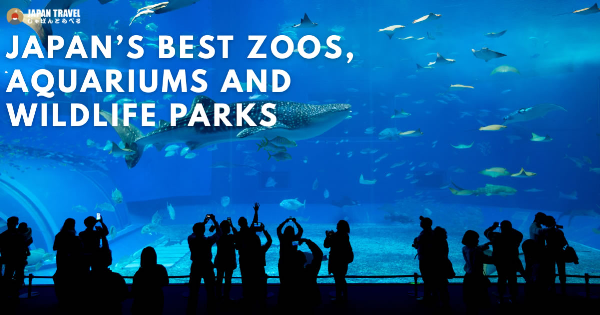Zoos, Aquariums, and Animal Parks in Japan