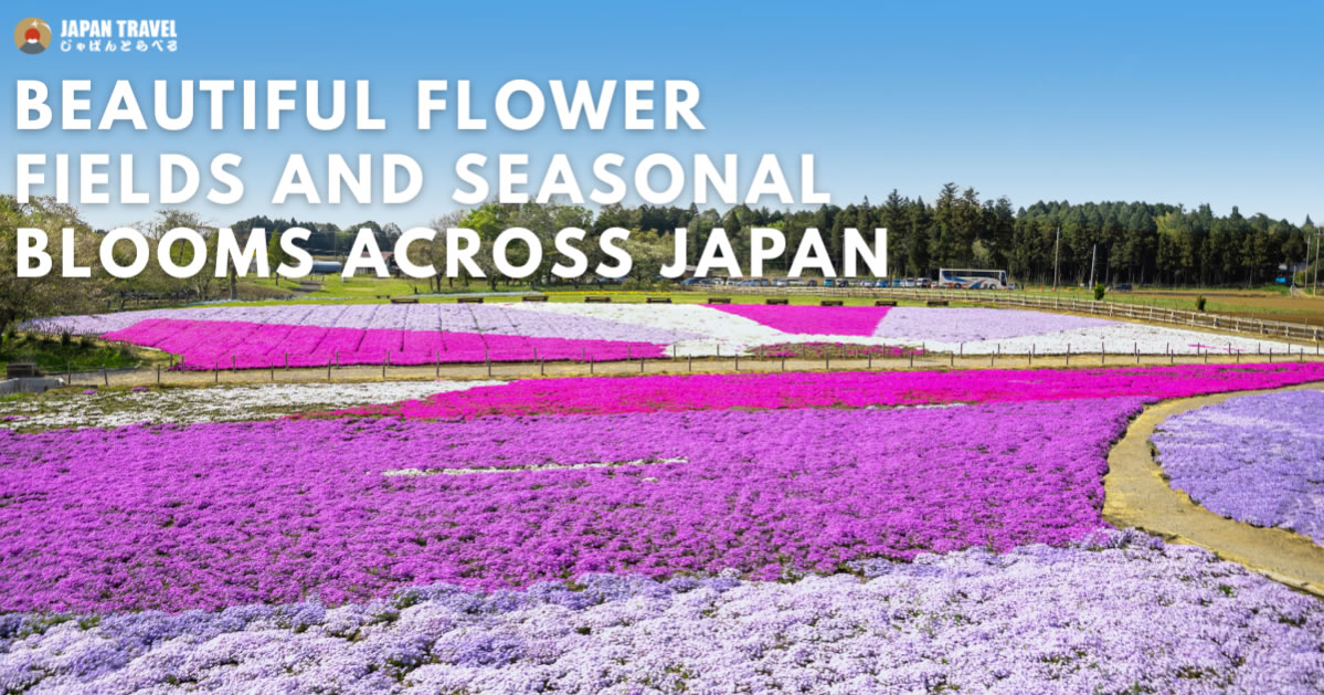 日本の花・植物・花名所